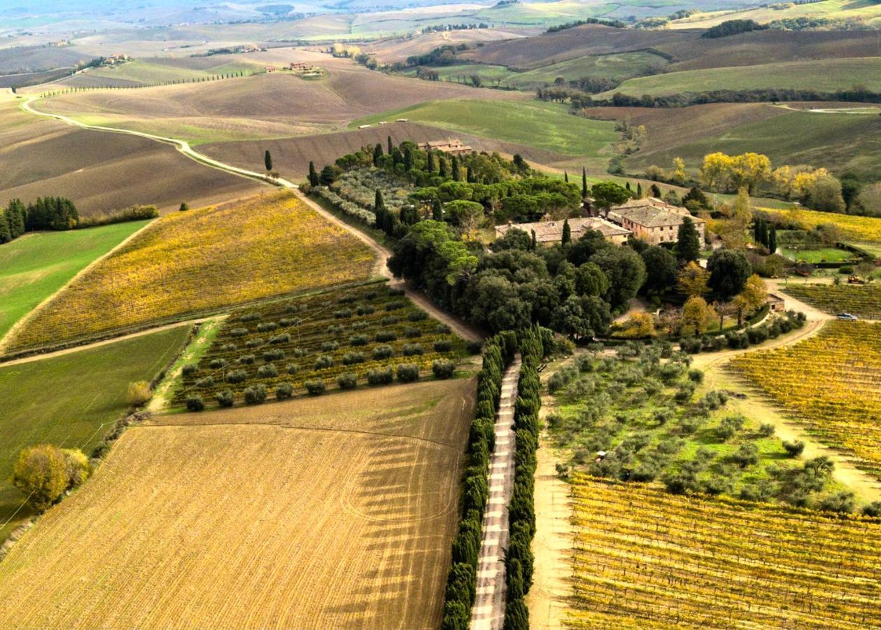 Villa Buonsignori - Wine & Olive Oil Farm Corsano  Eksteriør bilde