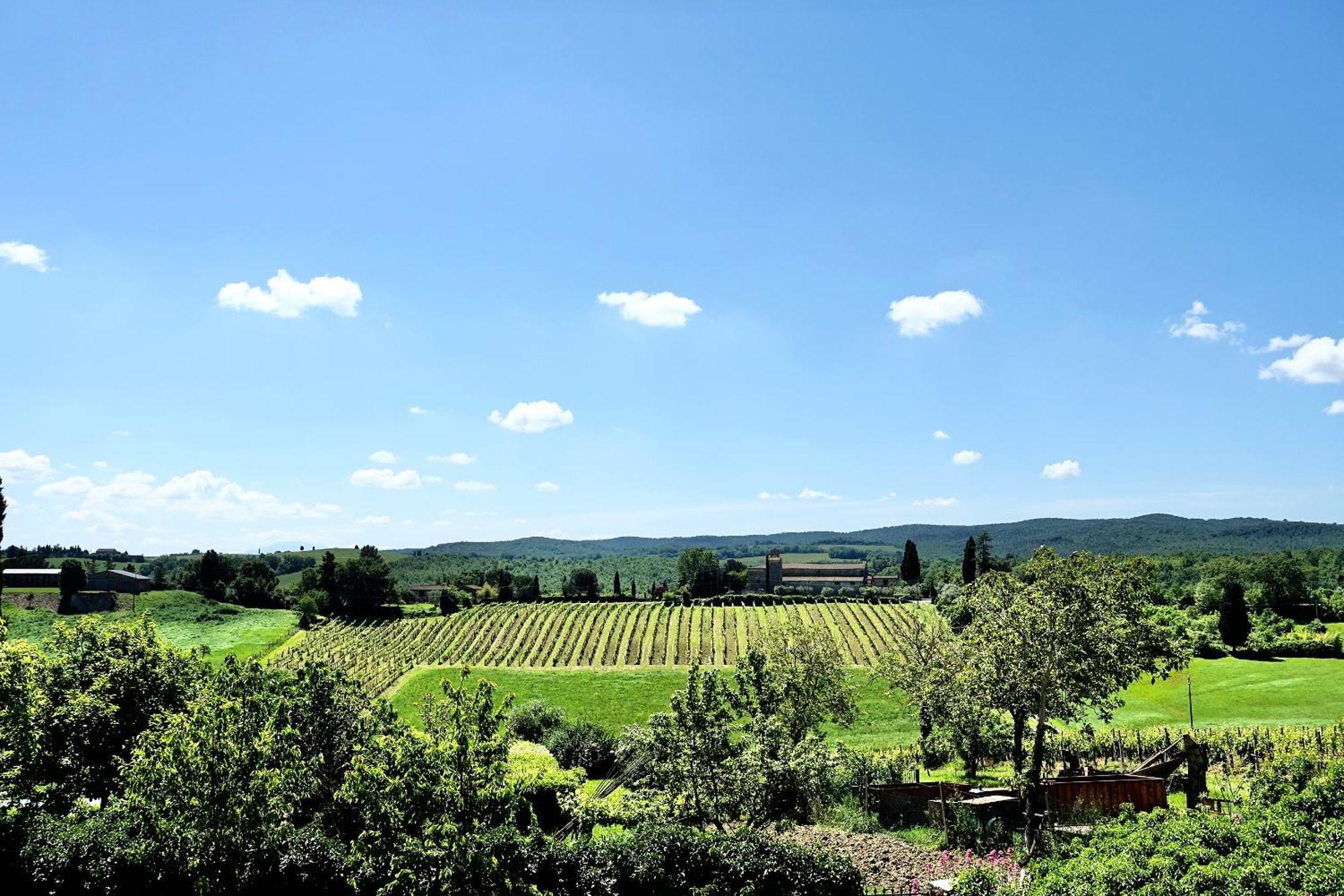 Villa Buonsignori - Wine & Olive Oil Farm Corsano  Eksteriør bilde